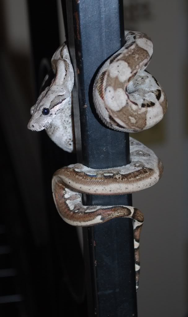DSC_0011.jpg