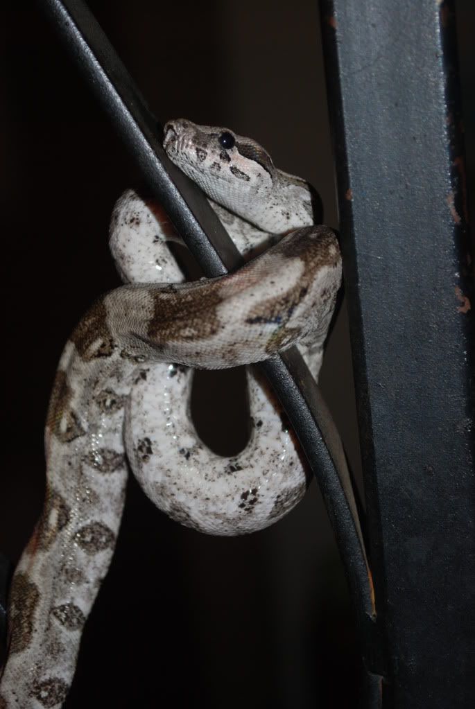 DSC_00282.jpg