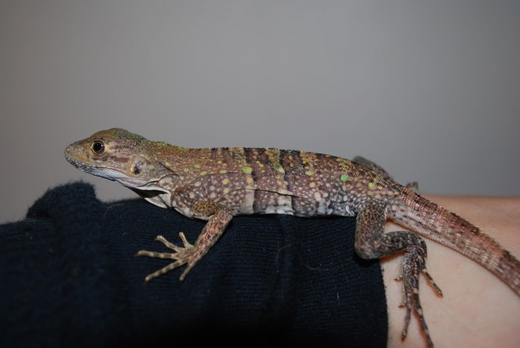 DSC_0029.jpg