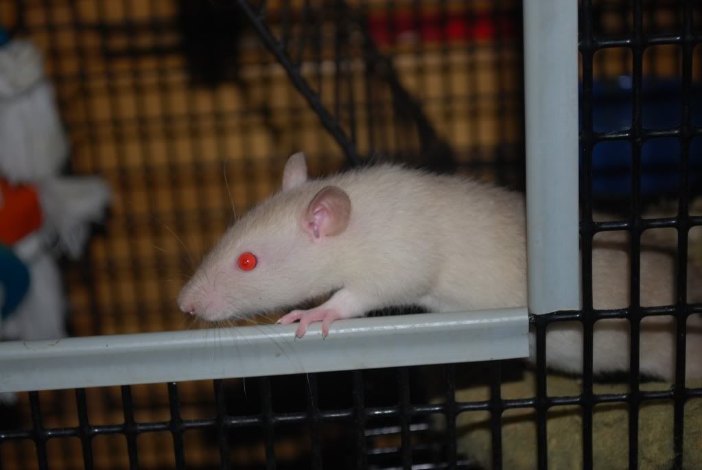 DSC_0017.jpg