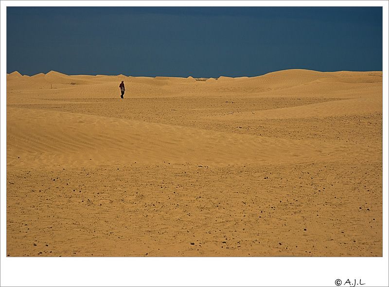Fotografie
