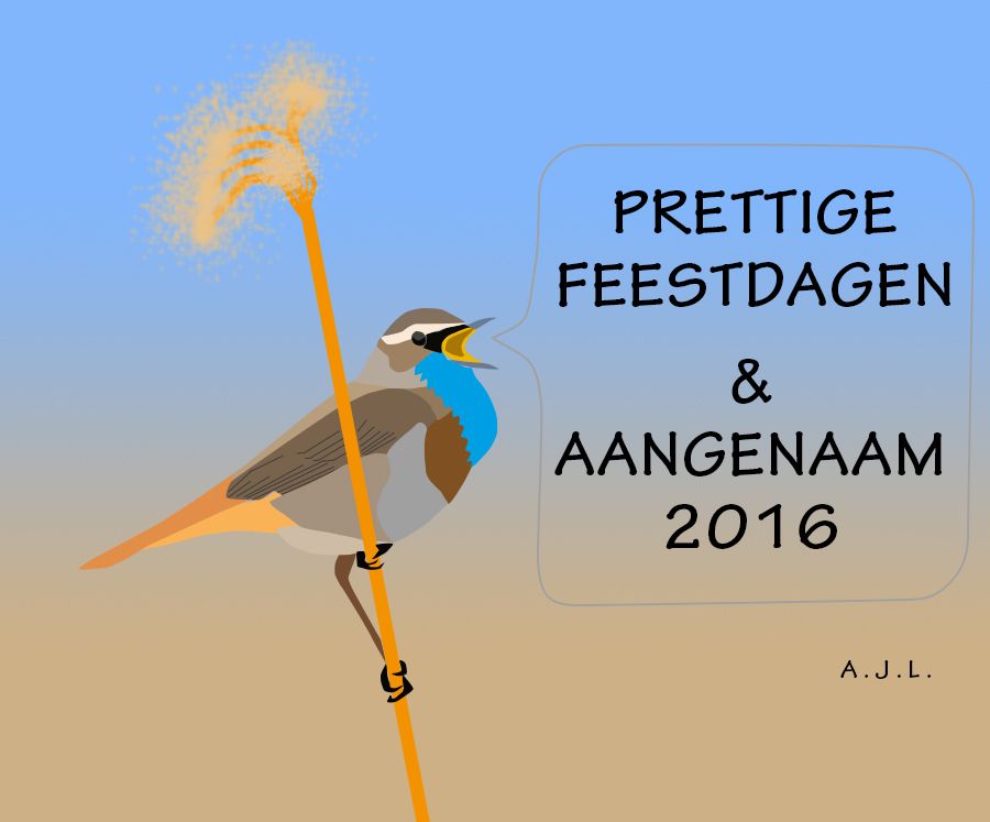Fotografie