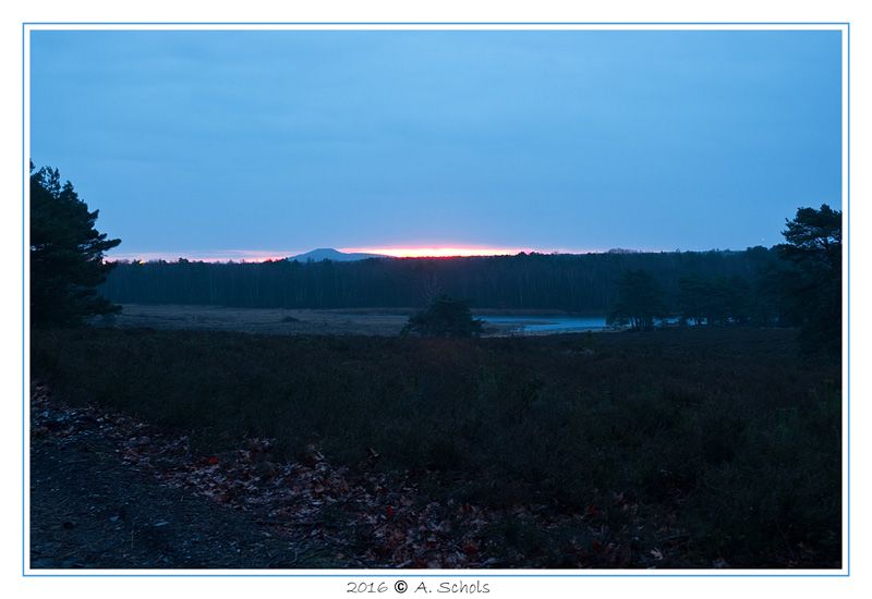 Fotografie