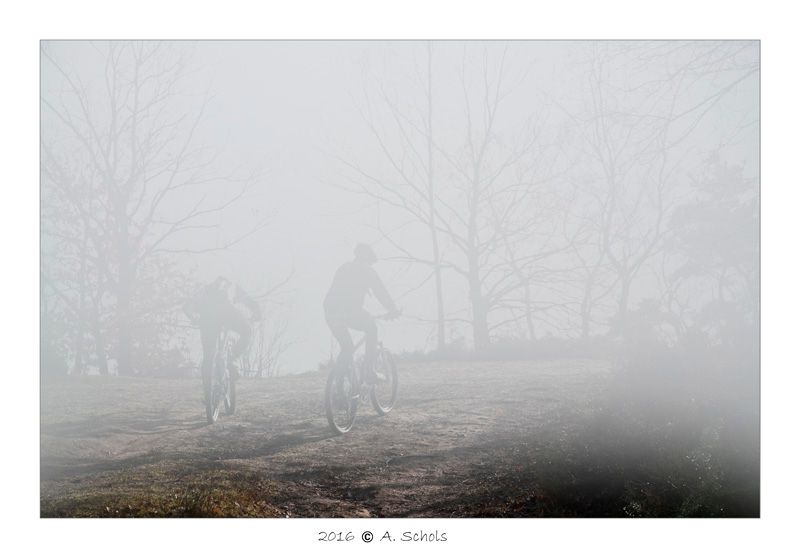 Fotografie