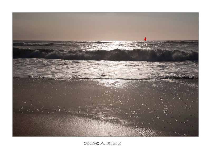 Fotografie