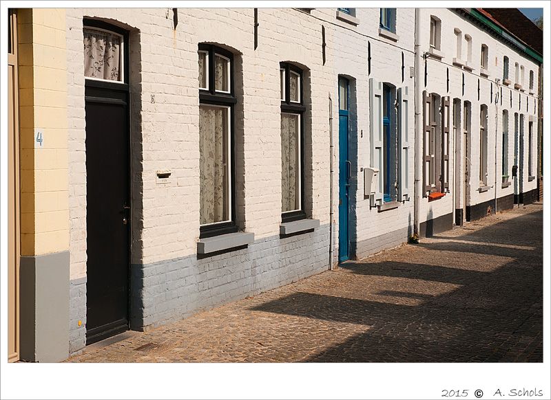 Fotografie