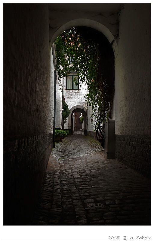 Fotografie