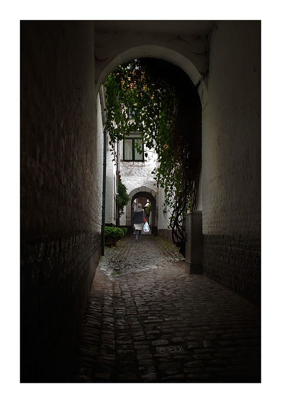 Fotografie