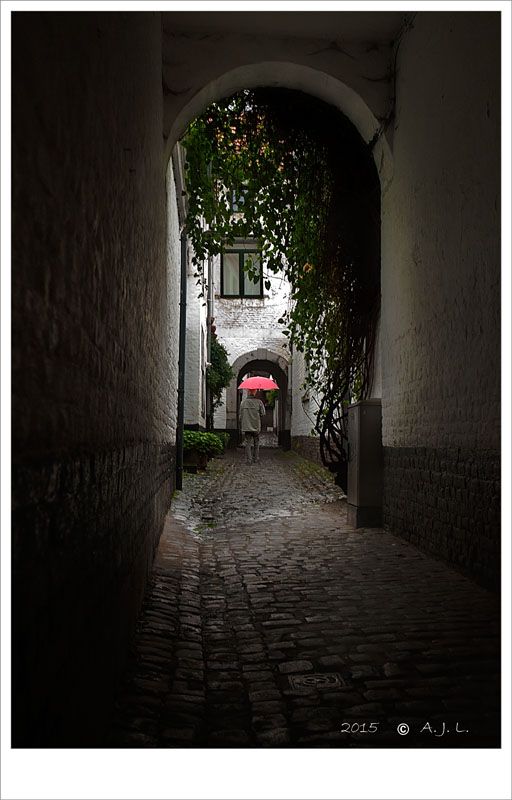 Fotografie