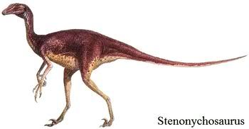 stenonychosaurus troodon