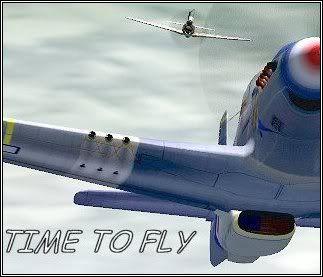 TimeToFly002JJGsCFS-2_P-51D_HaileyG.jpg