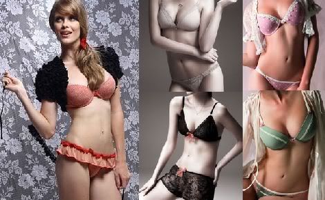 lingerie Lingerie Moda 2011, Modelos 