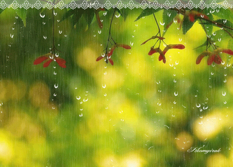 [转载]【日志插图】 窗外下雨的世界