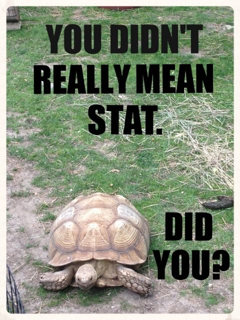 You didn't really mean stat.  Did you?  Medical humor meme photo.