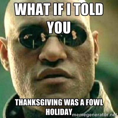 What if I told you Thanksgiving was a fowl holiday humor meme photo