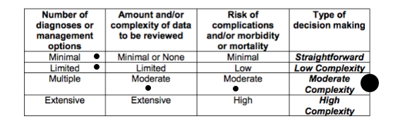 Level 2 hospital medical decision making option