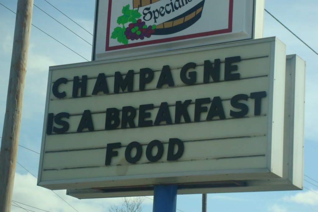 Would you ride in this hot air balloon? SpanishDict Answers