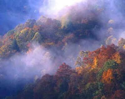 Smoky_Mountains.jpg Smoky Mountains image by katscar_bucket