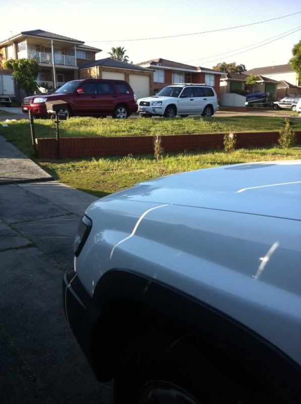 Posted Image