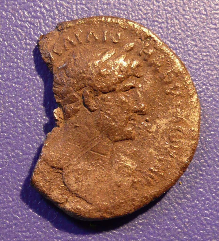 P1000475.jpg