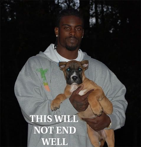 mikevick.jpg