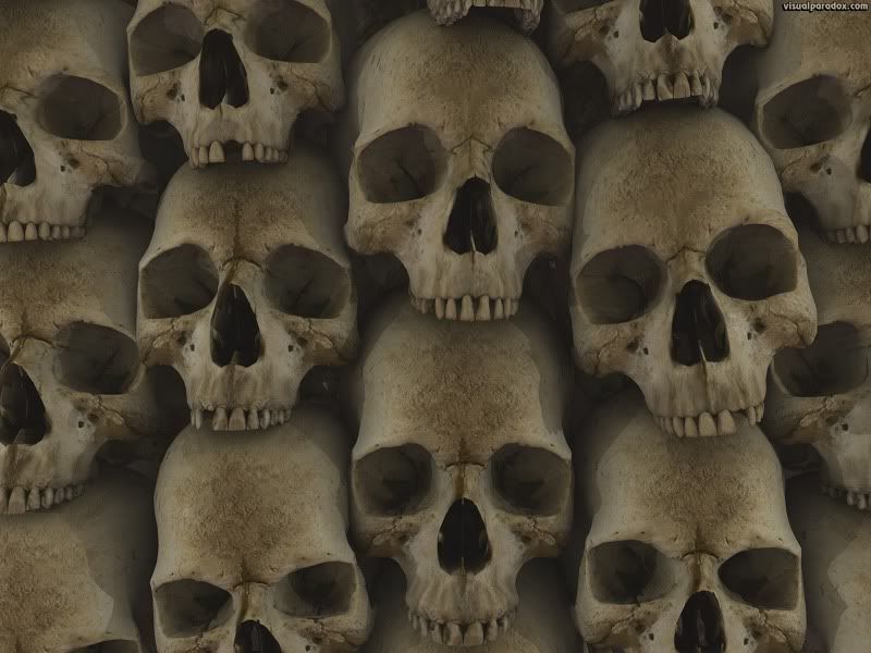 skulls wallpaper. skulls-wallpaper.jpg