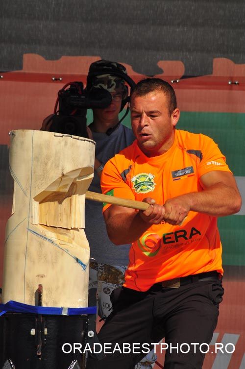 cntaietorilemne201250.jpg