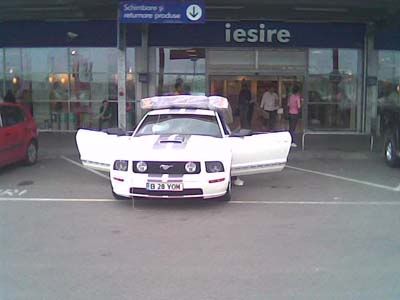 mustangsaltea.jpg