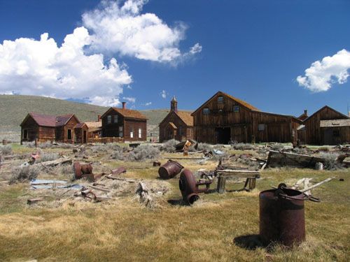 /bodie_zpsf34ab844.jpg