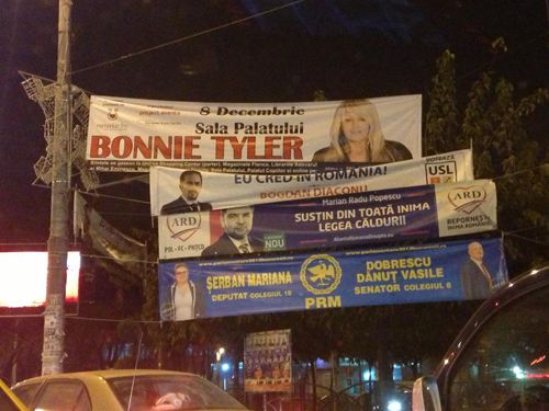 bonnietylerpartid.jpg