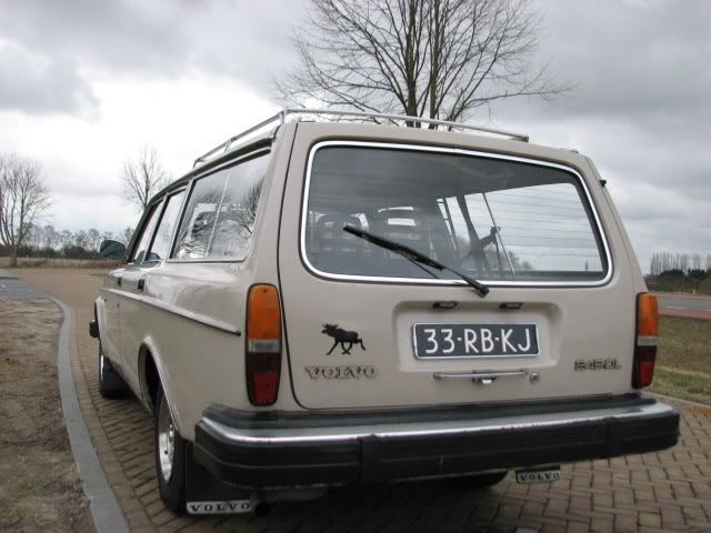 [Afbeelding: IMG_7773.jpg]