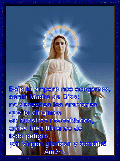 MREINADLAPAZbajotuamparo.gif picture by la-tuquita