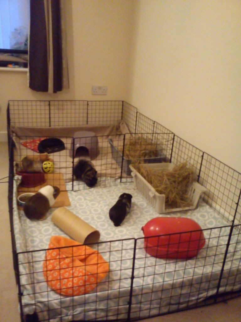DSC00013.jpg